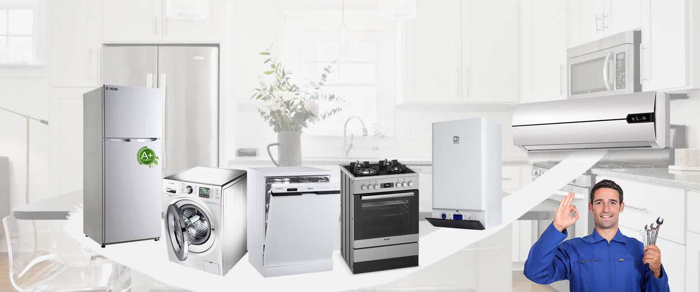 Akyazı Sony Servisi